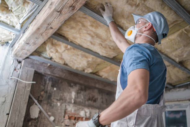 Best Insulation Maintenance and Repair in Morrow, GA
