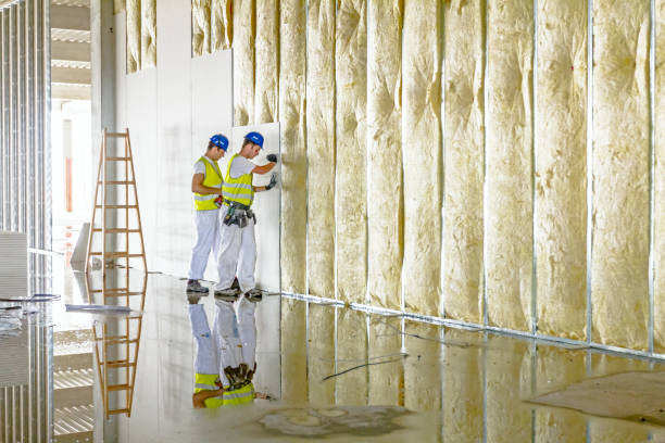 Best Insulation for Specific Applications in Morrow, GA